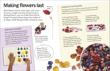 Паперова книга «Flowers. Explore Nature with Fun Facts and Activities» - фото №5 - мініатюра