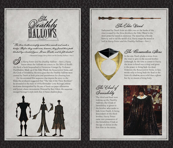 Бумажная книга «Harry Potter Deathly Hallows Hardcover Ruled Journal» - фото №8 - миниатюра