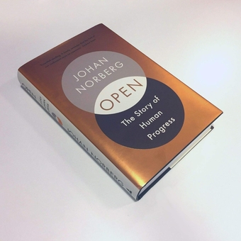 Бумажная книга «Open», автор Йохан Норберг - фото №3 - миниатюра