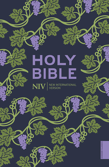 Бумажная книга «NIV Holy Bible» - фото №1 - миниатюра