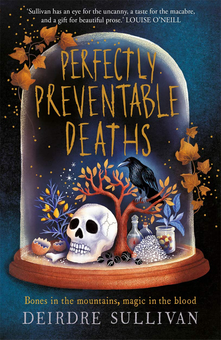 Паперова книга «Perfectly Preventable Deaths», автор Дейрдре Салліван - фото №1 - мініатюра