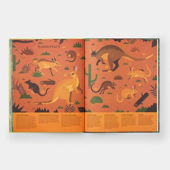 Бумажная книга «Extinct. An Illustrated Exploration of Animals That Have Disappeared», автор Лукас Риера - фото №9 - миниатюра