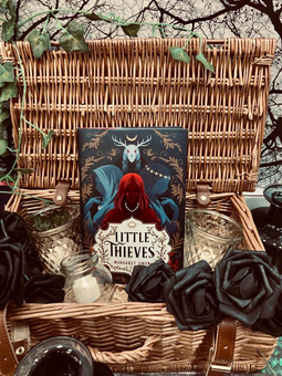 Бумажная книга «Little Thieves», автор Маргарет Оуэн - фото №4 - миниатюра