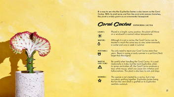 Бумажная книга «The Little Book of Cacti and Other Succulents», автор Эмма Сибли - фото №7 - миниатюра