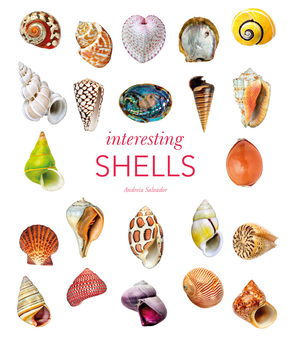 Паперова «Interesting Shells», автора Андрея Сальвадор– фото №1