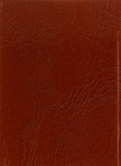 Бумажная книга «Історичні твори. Том 1», автор Иван Филипчак - фото №2 - миниатюра