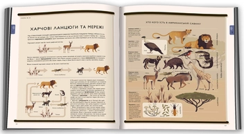Бумажная книга «Світ природи. Візуальна збірка див природи», авторов Аманда Вуд, Майк Джолли - фото №5 - миниатюра