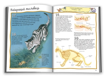Бумажная книга «100 фактів про котів і кошенят», автор Стив Паркер - фото №3 - миниатюра