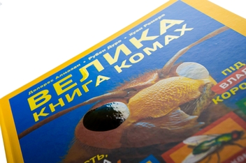 Бумажная книга «Велика книга комах», авторов Рубен Дуро, Хуан Ромеро, Долорес Алмазан - фото №4 - миниатюра