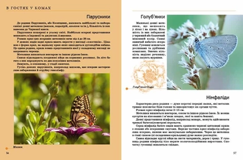 Бумажная книга «Комахи та інші» - фото №5 - миниатюра
