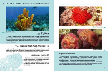 Бумажная книга «Комахи та інші» - фото №6 - миниатюра