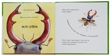 Паперова книга «Знайомі комахи», автор Наталія Чуб - фото №7 - мініатюра