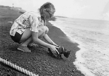 Бумажная книга «Ingrid Bergman», автор Скотт Эйман - фото №10 - миниатюра