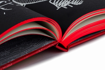 Бумажная книга «13-поверховий будинок на дереві», автор Энди Гриффитс - фото №10 - миниатюра