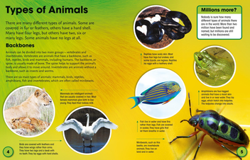 Паперова книга «Fascinating Facts: Animals» - фото №3 - мініатюра