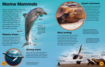 Паперова книга «Fascinating Facts: Animals» - фото №4 - мініатюра