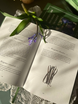 Бумажная книга «Сухі конфітури способом київським», автор Мария Марцишевская - фото №4 - миниатюра