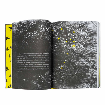 Бумажная книга «Julia and the Shark», автор Киран Миллвуд Харгрейв - фото №6 - миниатюра