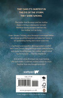 Бумажная книга «Homewrecker», автор Дианна Кэмерон - фото №3 - миниатюра