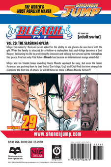 Паперова книга «Bleach. Volume 29», автор Тайто Кубо - фото №2 - мініатюра