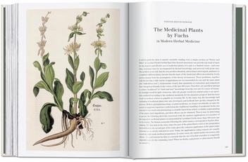 Paper book «Leonhart Fuchs: The New Herbal», author Werner Dressendörfer - фото №8 - миниатюра