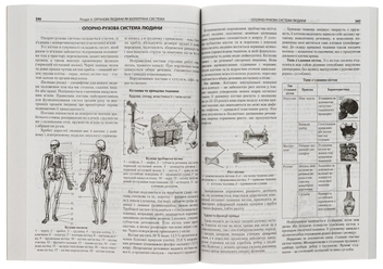 Паперова книга «Біологія. Комплексне видання. ЗНО 2023» - фото №5 - мініатюра