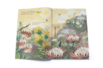 Бумажная книга «The Big Sticker Book of Blooms», автор Юваль Зоммер - фото №3 - миниатюра
