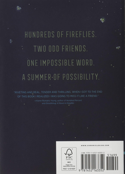Бумажная книга «Tiny Infinities», автор Жан Хейлприн Диль - фото №2 - миниатюра