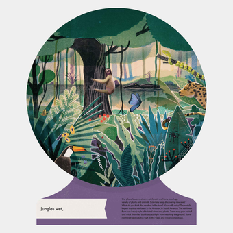 Паперова книга «Our World.  A First Book of Geography», автор Сью Лоуелл Галліон - фото №8 - мініатюра