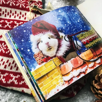 Бумажная книга «A Guinea Pig Night Before Christmas», авторов Клемент Кларк Мур, Тесс Ньюолл - фото №5 - миниатюра