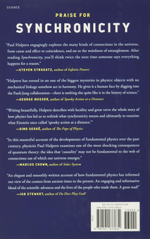 Бумажная книга «Synchronicity. The Epic Quest to Understand the Quantum Nature of Cause and Effect», автор Пол Халперн - фото №2 - миниатюра