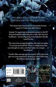 Бумажная книга «The Broken Elf King», автор Лея Стоун - фото №2 - миниатюра