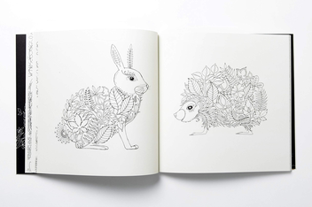 Бумажная книга «Enchanted Forest. An Inky Quest and Colouring Book», автор Джоанна Басфорд - фото №4 - миниатюра