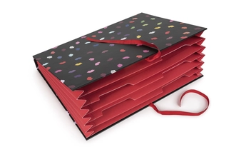 Бумажная книга «Lulu Guinness: Multi Lips Concertina File » - фото №3 - миниатюра