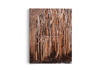Паперова книга «Doris Salcedo», авторів Селуа Лусте Бульбіна, Мері Шнайдер Енрікес, Оушен Вуонг - фото №3 - мініатюра