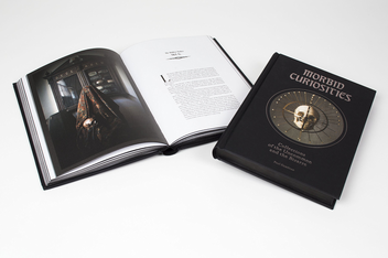 Бумажная книга «Morbid Curiosities. Collections of the Uncommon and the Bizarre», автор Пол Гамбино - фото №3 - миниатюра