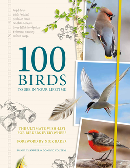Бумажная книга «100 Birds to See in Your Lifetime: The Ultimate Wish-list for Birders Everywhere», автор Дэвид Чандлер - фото №1 - миниатюра
