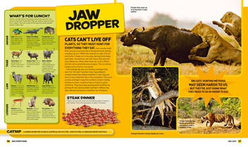 Паперова книга «Everything: Big Cats», автор National Geographic Kids - фото №3 - мініатюра