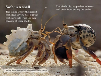 Бумажная книга «BBC Earth: Where Animals Live - Ladybird Readers Level 3» - фото №2 - миниатюра