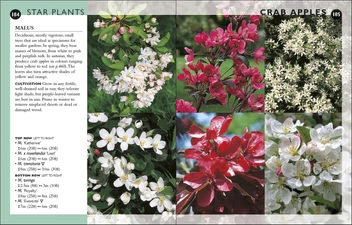 Паперова книга «RHS Gardening Month by Month. What to Do When in the Garden» - фото №2 - мініатюра