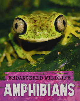 Бумажная книга «Amphibians», автор Анита Ганери - фото №1 - миниатюра