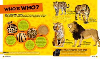 Паперова книга «Everything: Big Cats», автор National Geographic Kids - фото №4 - мініатюра