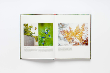 Паперова книга «Wild about Weeds. Garden Design with Rebel Plants», автор Джек Воллінгтон - фото №9 - мініатюра