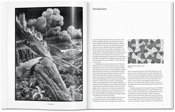 Бумажная книга «The Graphic Work» - фото №8 - миниатюра