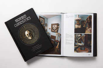 Бумажная книга «Morbid Curiosities. Collections of the Uncommon and the Bizarre», автор Пол Гамбино - фото №4 - миниатюра