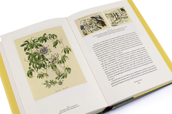 Паперова книга «John Nash. The Landscape of Love and Solace», автор Енді Френд - фото №7 - мініатюра