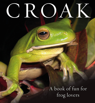 Бумажная книга «Croak. A Book of Fun for Frog Lovers», автор Фил Бишоп - фото №1 - миниатюра