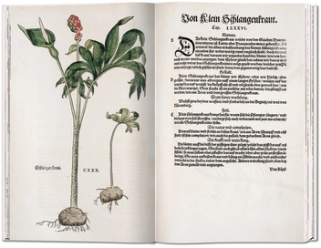 Бумажная книга «Leonhart Fuchs: The New Herbal of 1543», автор Вернер Дрессендорфен - фото №5 - миниатюра