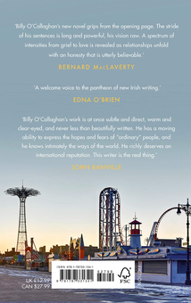 Паперова книга «My Coney Island Baby», автор Біллі О'Каллаган - фото №2 - мініатюра