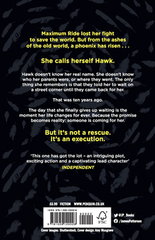 Бумажная книга «Hawk. A Maximum Ride Novel. Book 1», автор Джеймс Паттерсон - фото №2 - миниатюра